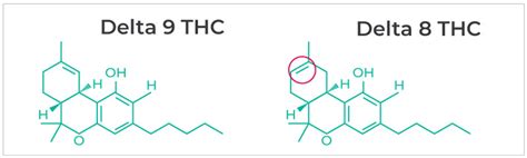 Delta 8 THC vs. Delta 9 THC: And The Question "Is Delta 8 Safe?"