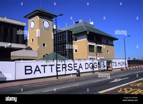 Battersea dogs home hi-res stock photography and images - Alamy