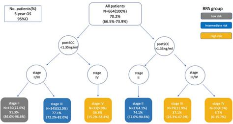 Risk Classification Tree By Rpa Rpa Recursive Partitioning Analysis