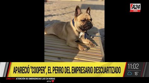 Encontraron al perro de Fernando Lechuga Pérez Algaba el