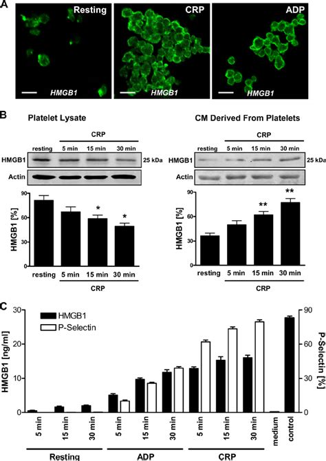 Expression Of Hmgb1 In Platelets And Release Upon Platelet Activation