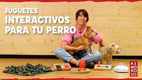 Juguetes Interactivos Para Perros Gu A Completa Youtube