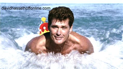 Spongebob Squarepants The Official David Hasselhoff Website