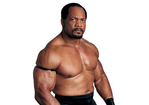 Ron Simmons Wwe