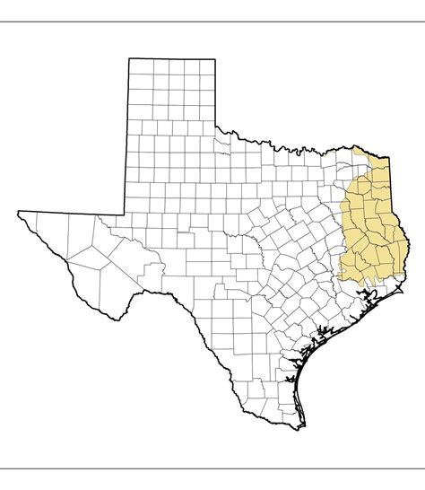 Ecoregions Of Texas Flashcards Memorang