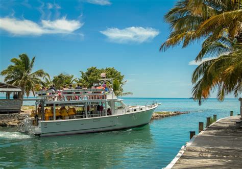 Bahamas Cruise Excursions | Nassau Ultimate Snorkeling Adventure - $99us