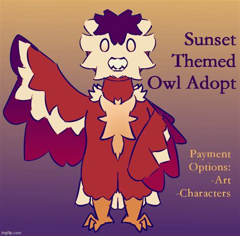 Sunset Owl Adopt If You Re Interested Feel Free To Discuss In The