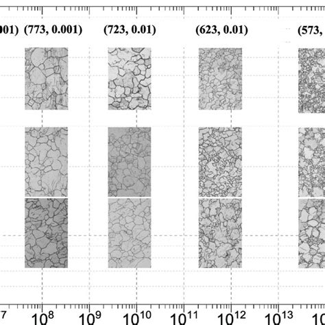 Presents The Microstructure Of Az31b Mg Alloy Deformed By Hot