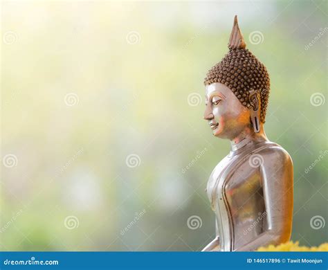 The Buddha Statue With Nature Background Stock Photo Image Of Pretty