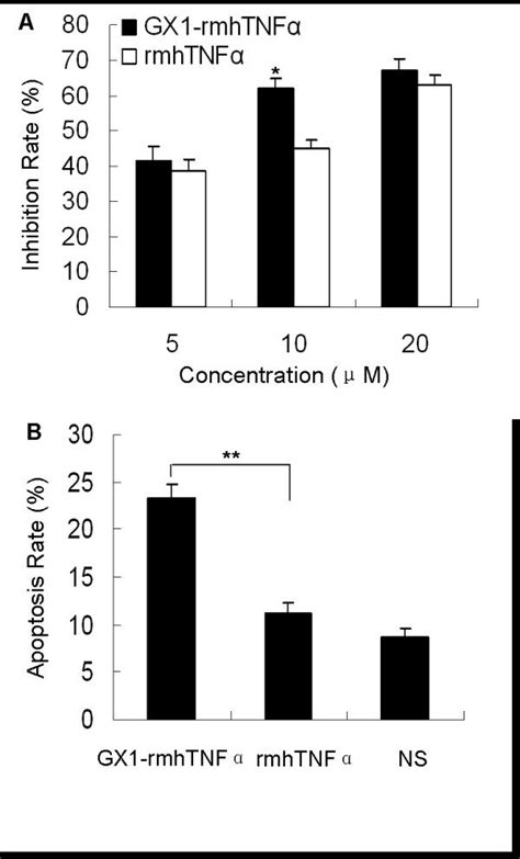 GX1 rmhTNFα inhibits co HUVEC proliferation through induction of