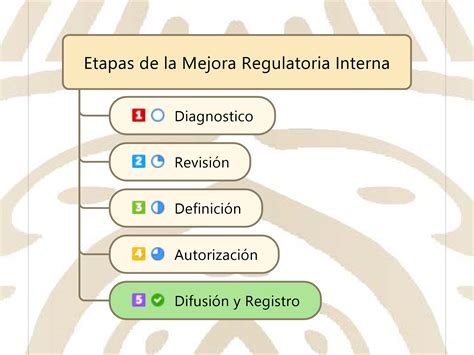 Lineamientos De Seguridad Control De Accesos Y Estacionamientos