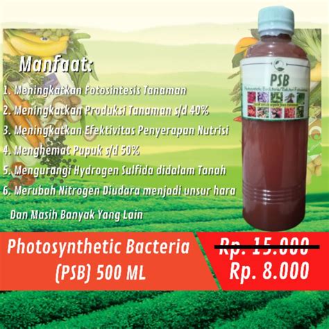 Jual Pupuk Organik Cair POC Daun PSB Bakteri Fotosintesis 500ml