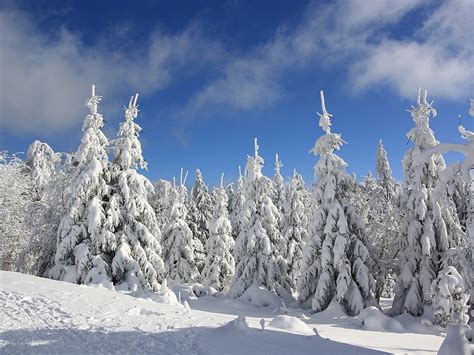 Frostpeitsche in Deutschland schwaches Tief in Südtirol Südtirol News