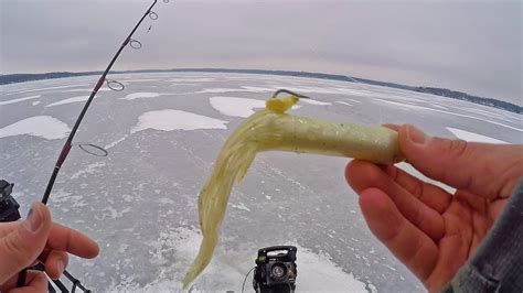 Ice Fishing Lake Trout For The First Time Youtube