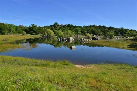 Folsom Lake In California Usa Management Trust