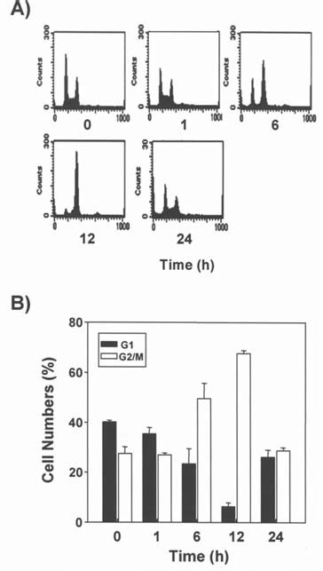 Effect Of Dads On Cell Cycle Distribution In Hct Cells Cells X