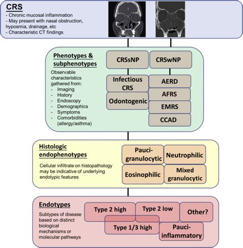 Current Insight Into Treatment Of Chronic Rhinosinusitis Phenotypes