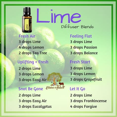 Pin By Am Keno On Essential Oil Diffuser Recipes Essential Oil Diffuser Blends Recipes