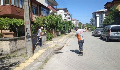 Yabani Otlar Temizlendi Beled Ye Bartin Halk Gazetes Bartin