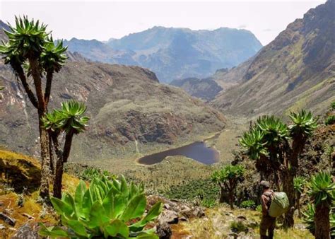 Rwenzori Mountains: 13 Things About "Mountains of the Moon ...