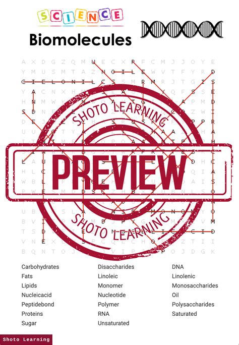 Biomolecules Science Activity Bundle Word Find Scramble Words