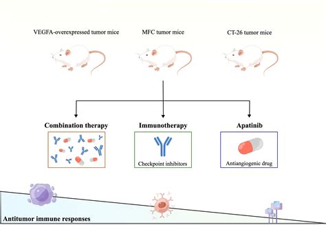 Frontiers Apatinib A Novel Antiangiogenic Drug In Monotherapy Or