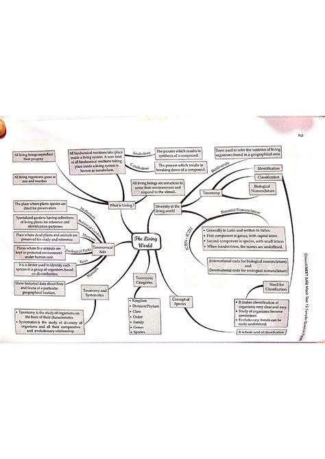 SOLUTION Neet Complete Biology Mind Map Studypool