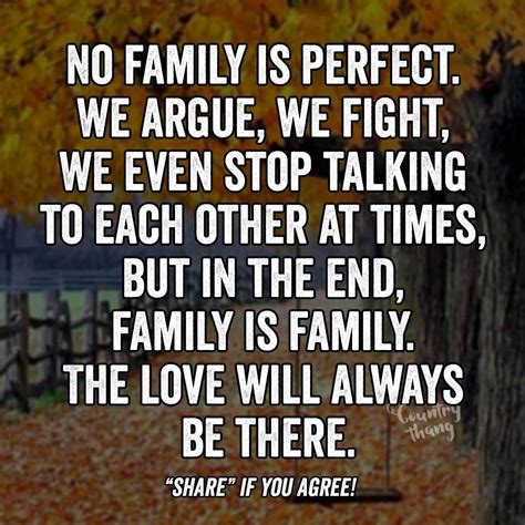 Quotes About Not Having A Perfect Family