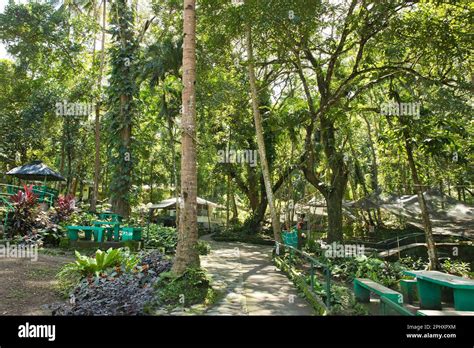 The Idyllic Park At The Ardent Hot Springs In Camiguin In The Philippines Surrounded By