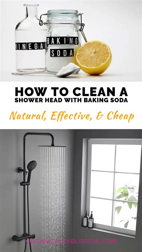 How To Clean Shower Head: A Step-By-Step Guide - Organically Blissful