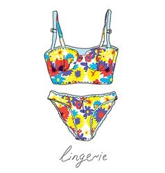 Lingerie Royalty Free Vector Image Vectorstock
