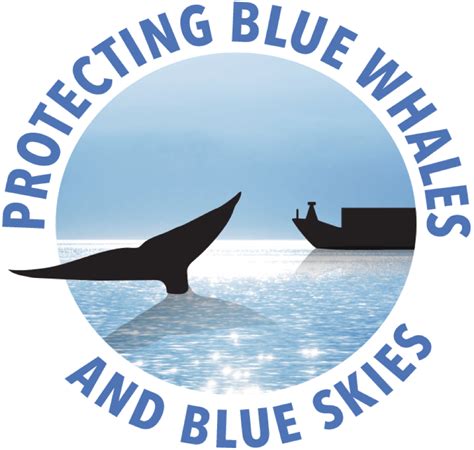 Protecting Blue Whales And Blue Skies Bizspotlight San Francisco