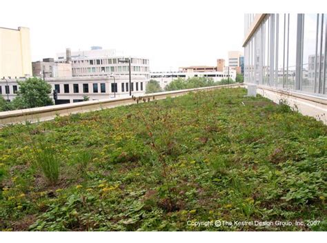 Minneapolis Central Library - Greenroofs.com