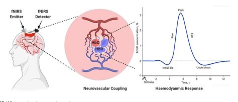 Figure From Analysis Of Human Gait Using Hybrid Eeg Fnirs Based Bci