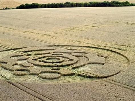 Crop Circles