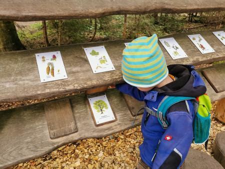 Der Naturerlebnispfad In Hinterzarten Mit Stationen Zum Spielen Und Toben