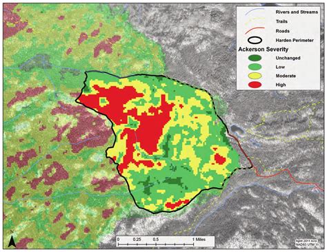 Map of the 1996 Ackerson fire severity. The dark green areas represent... | Download Scientific ...