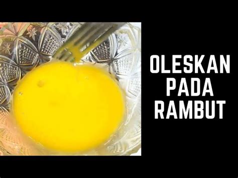 Temukan Manfaat Kuning Telur Untuk Rambut Yang Jarang Diketahui Solider