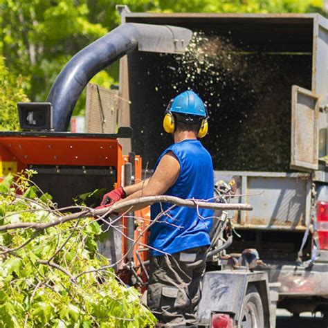 Wood Chipper Device Training | Think Safety Always