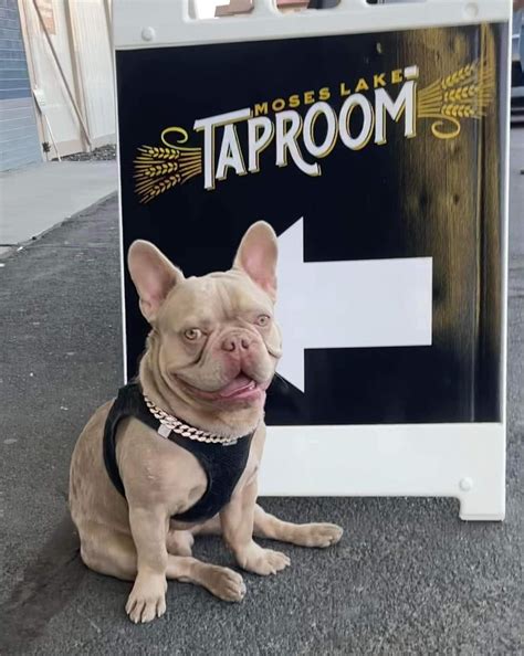 Moses Lake Taproom Pet Policy