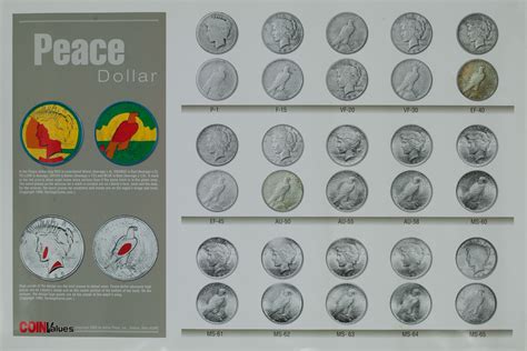 Coin Values Grading Condition Poster Peace Dollar David Pollack