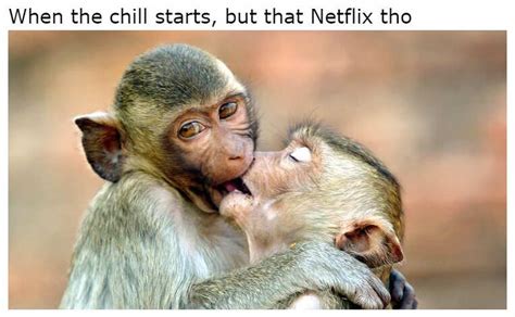 Horny Memes For A Naughty Giggle Funny