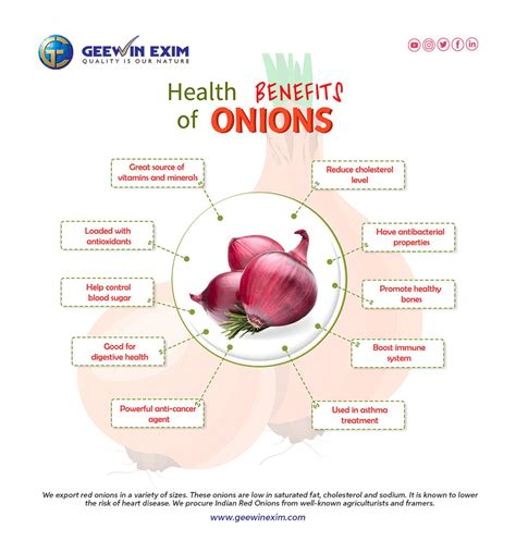 Health Benefits of Eating Onion | Red Onion Exporter - GeewinExim in ...