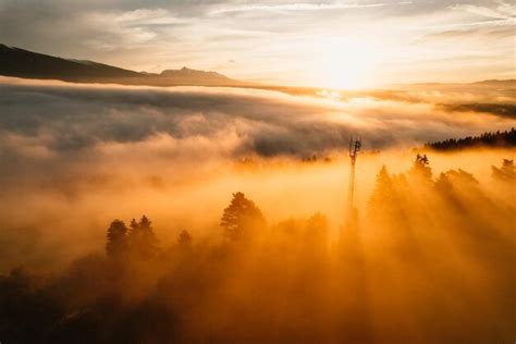 Bosque Neblinoso Con Rayos De Sol Vista Superior Desde Drones Del Valle