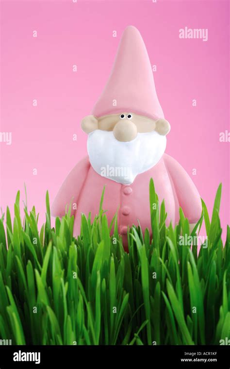 Pink garden gnome Stock Photo - Alamy