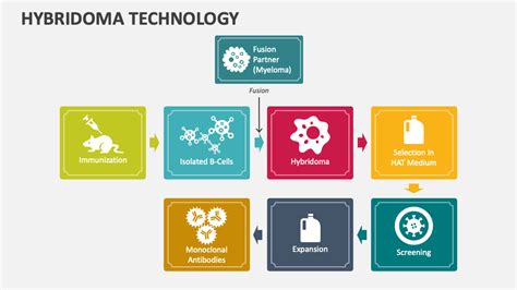 Hybridoma Technology PowerPoint and Google Slides Template - PPT Slides