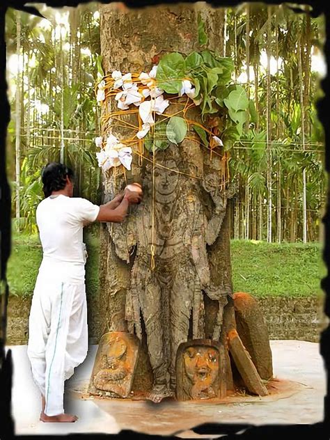 A Man Standing Next To A Tree With Flowers On It