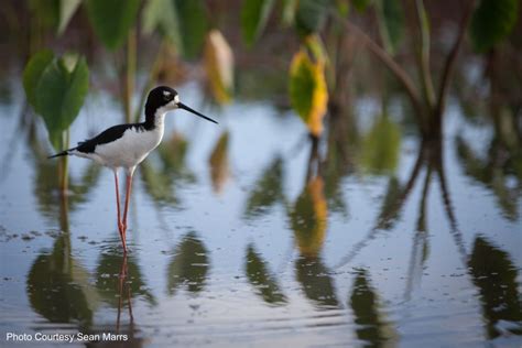 He‘eia Reserve Hawaii Nerra