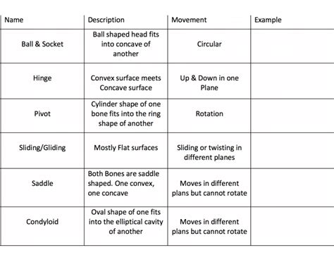 Synovial Joint Examples Quiz