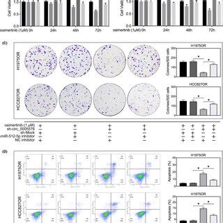 A CircRNA Expression Profiles Between H1975OR And H1975 Cells The Top